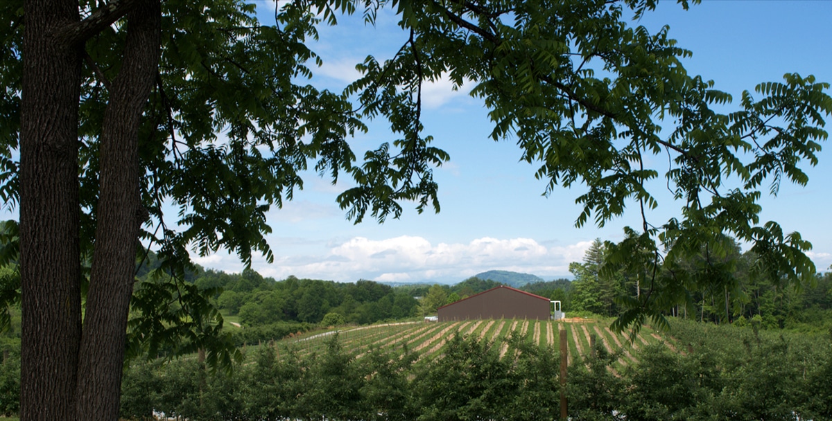 Saint Paul Mountain Winery and Vineyards - Crest of the Blue Ridge Wine Trail