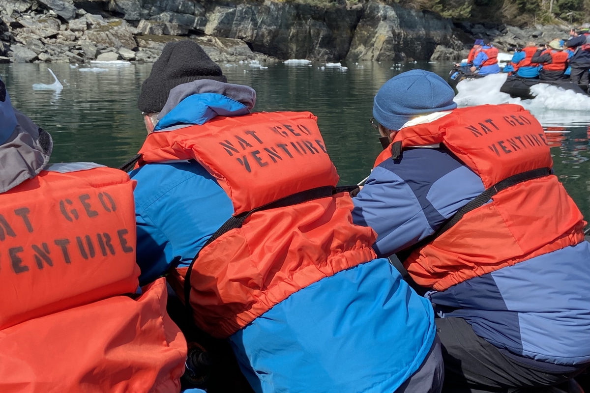 Bear Watching in Endicott Arm/