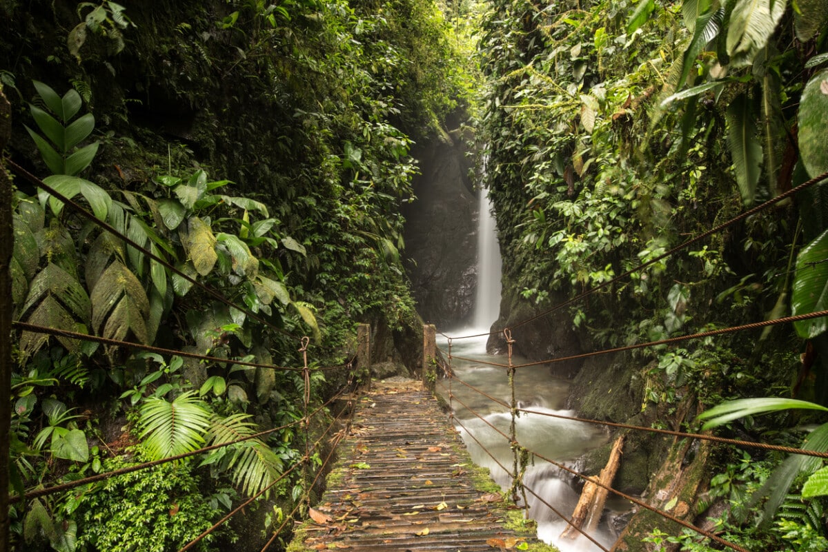 There are so many beautiful waterfalls in the rainforest of Ecuador, one more beautiful than the other. Photo by BeNicoMa via iStock by Getty Images