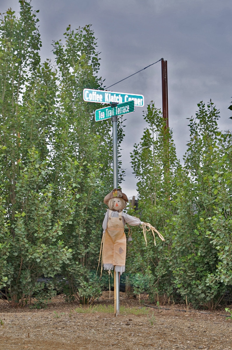 All Roads Lead to Central Coast Coffee and Tea
