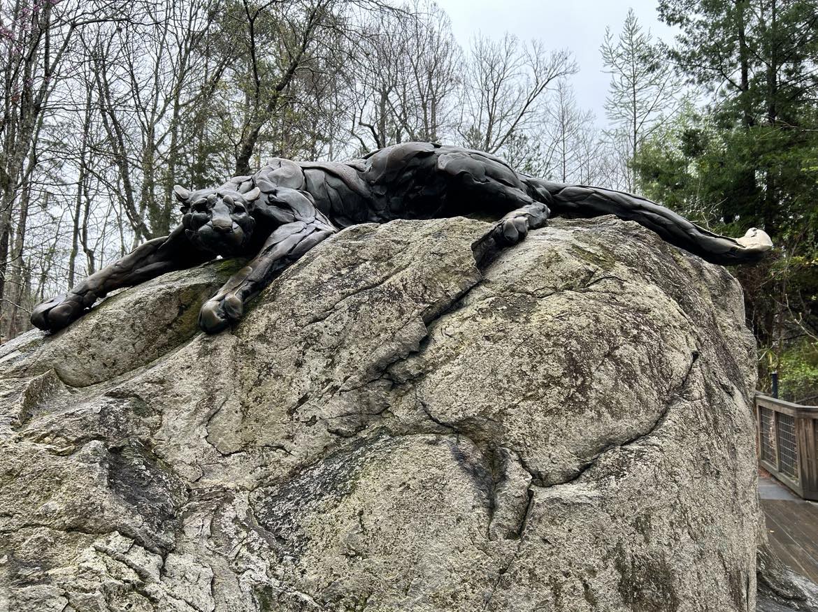 North Carolina Zoo Art In The Park Discover Asheboro in Randolph County: The Heart of North Carolina