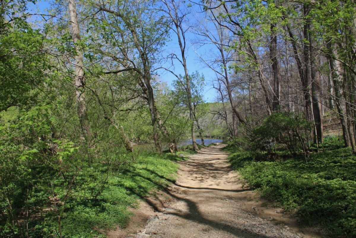 Gunpowder Falls trail