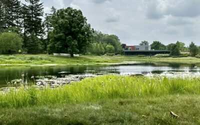 Enjoy Nature in Chicago’s Backyard at The Morton Arboretum