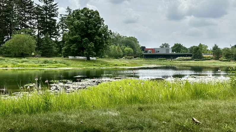 Meadow Lake