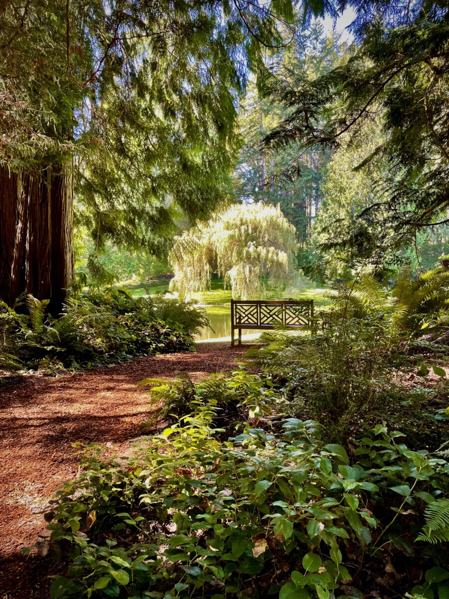 Exploring Bainbridge Island, Washington 9 Bloedel Reserve on Bainbridge Island