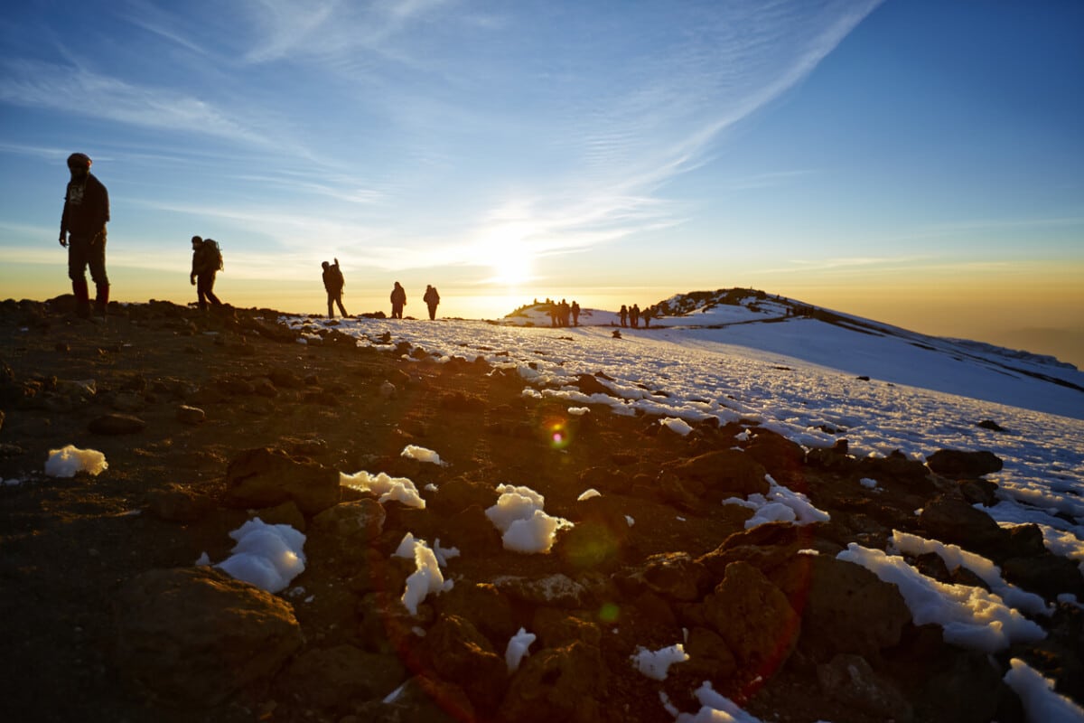On Mt. Kilimanjaro's Machame route.