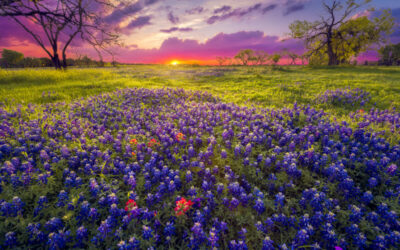 13 Things to Do in Fredericksburg, Texas