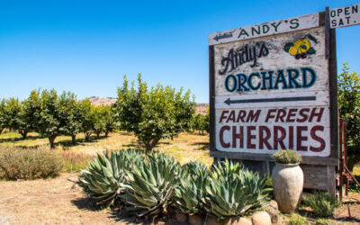 Ultimate Guide to 2 Days in Morgan Hill, California