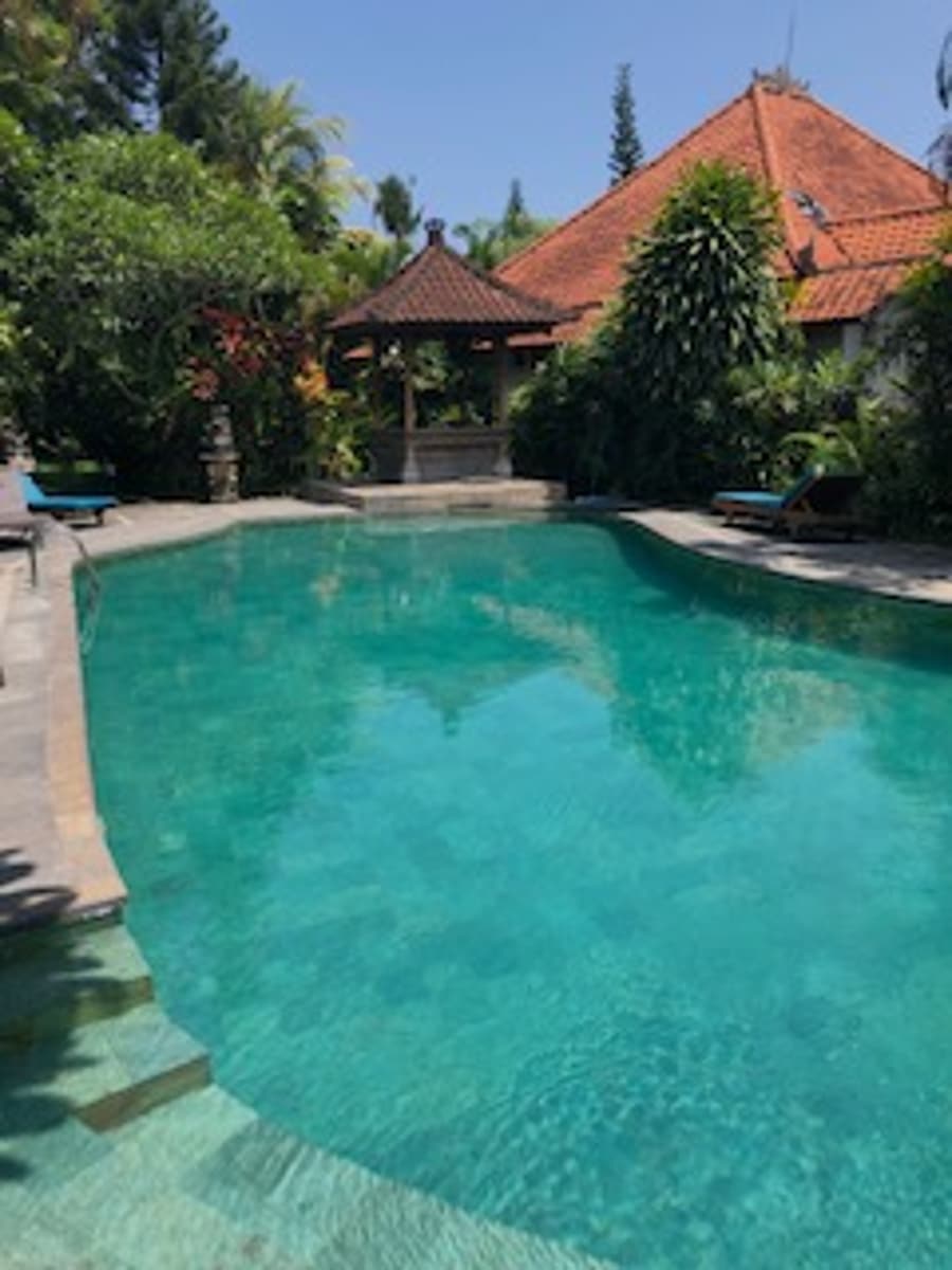 Best of Balinese Culture in Ubud Pool at Bhuana Alit Villa