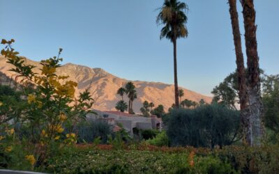 9 Reasons to Plan a Winter Getaway in Palm Springs
