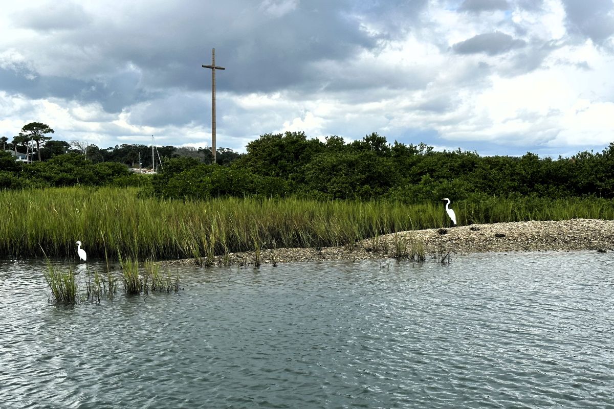 A heron and egret seen from the Eco Tours boat. Photo by Lisa Evans