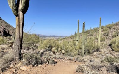 Where to Find Perfect Hiking in Scottsdale for All Ages