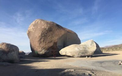 What is There to See in Landers, CA?