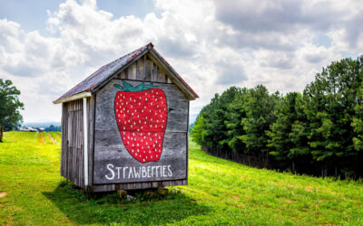 Charlottesville, VA: Food Lovers Kind of a Place