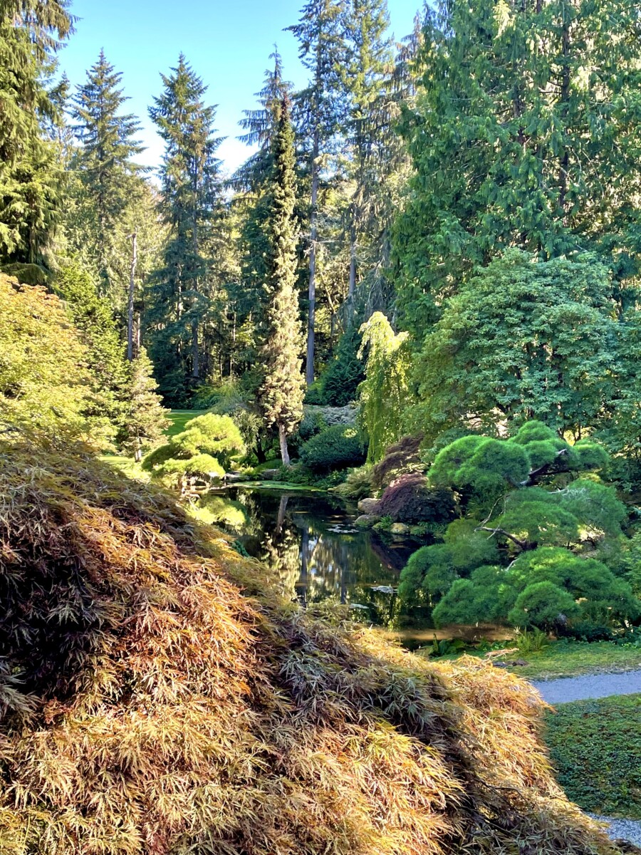 Getting Outdoors on Bainbridge Island, WA 3 Japanese Garden at Bloedel Reserve.