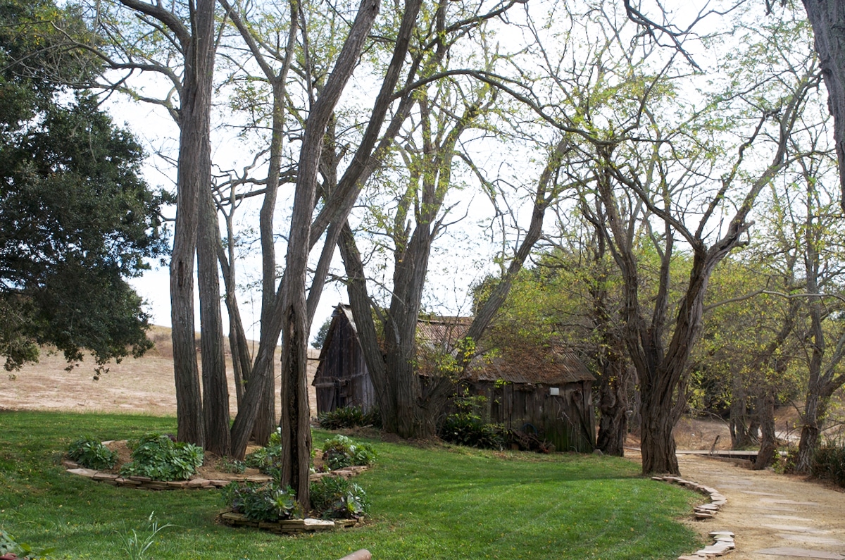 Ranchos de Ontiveros Property with old barn.