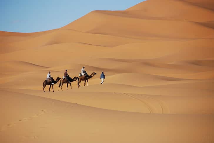 desert adventures from riyadh to dubai