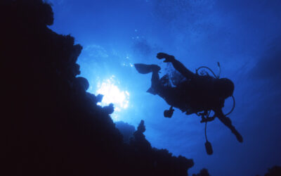 9 Best Places for Scuba Diving in the USA