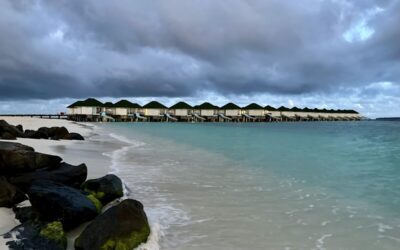 Plunge into Turquoise Water in the Maldives