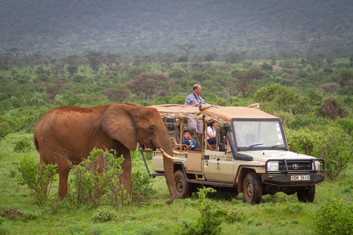 Planning an African Safari