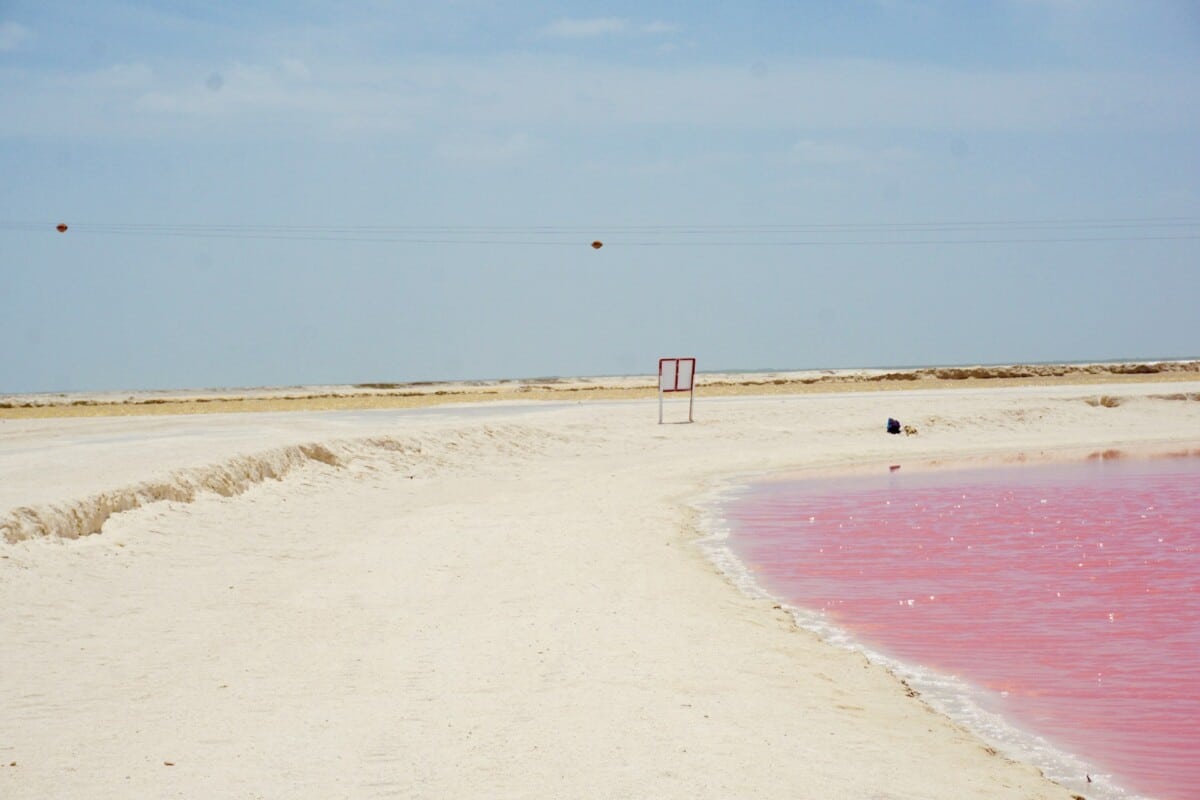 Los Coloradas