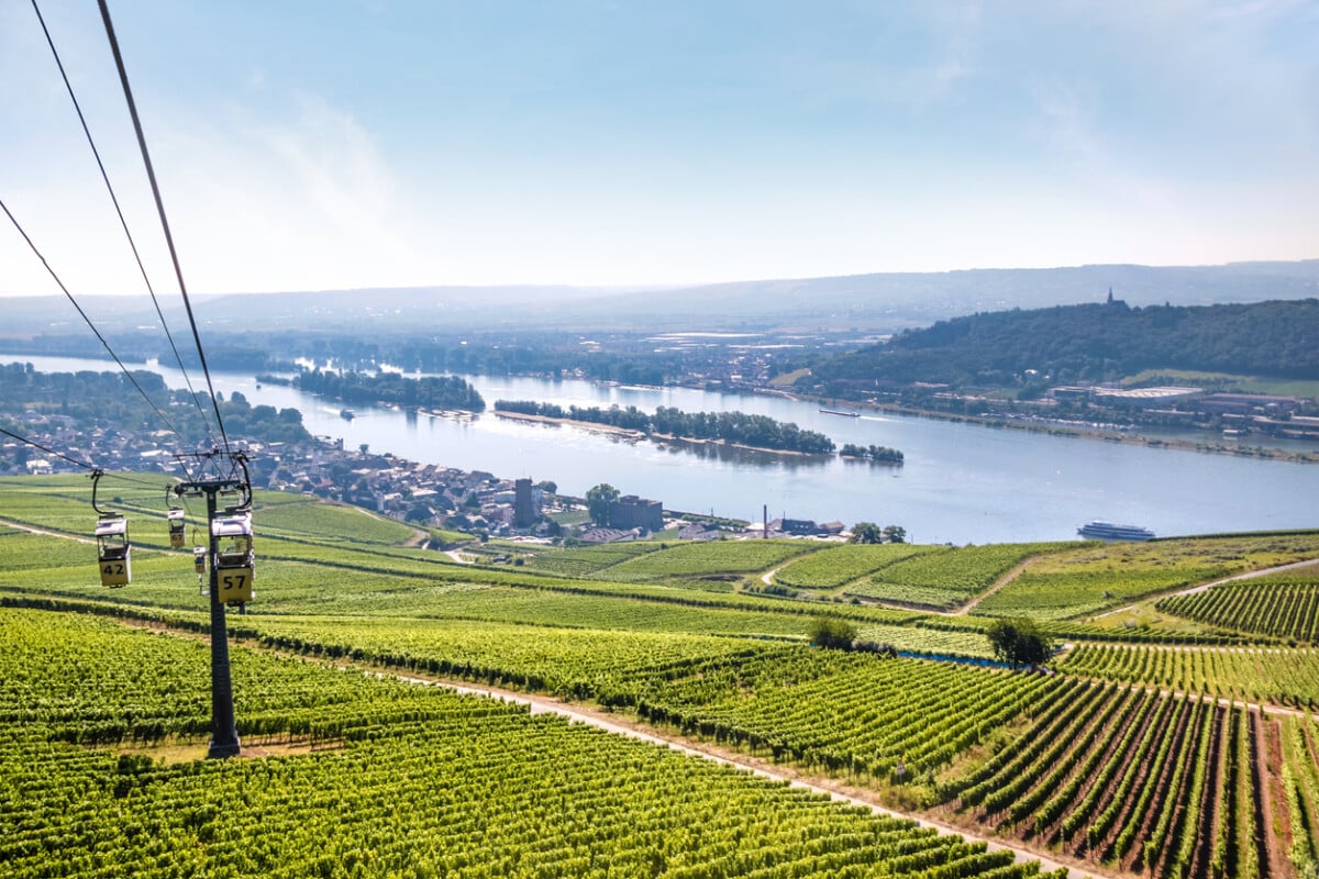 Ruedesheim in the Rheingau