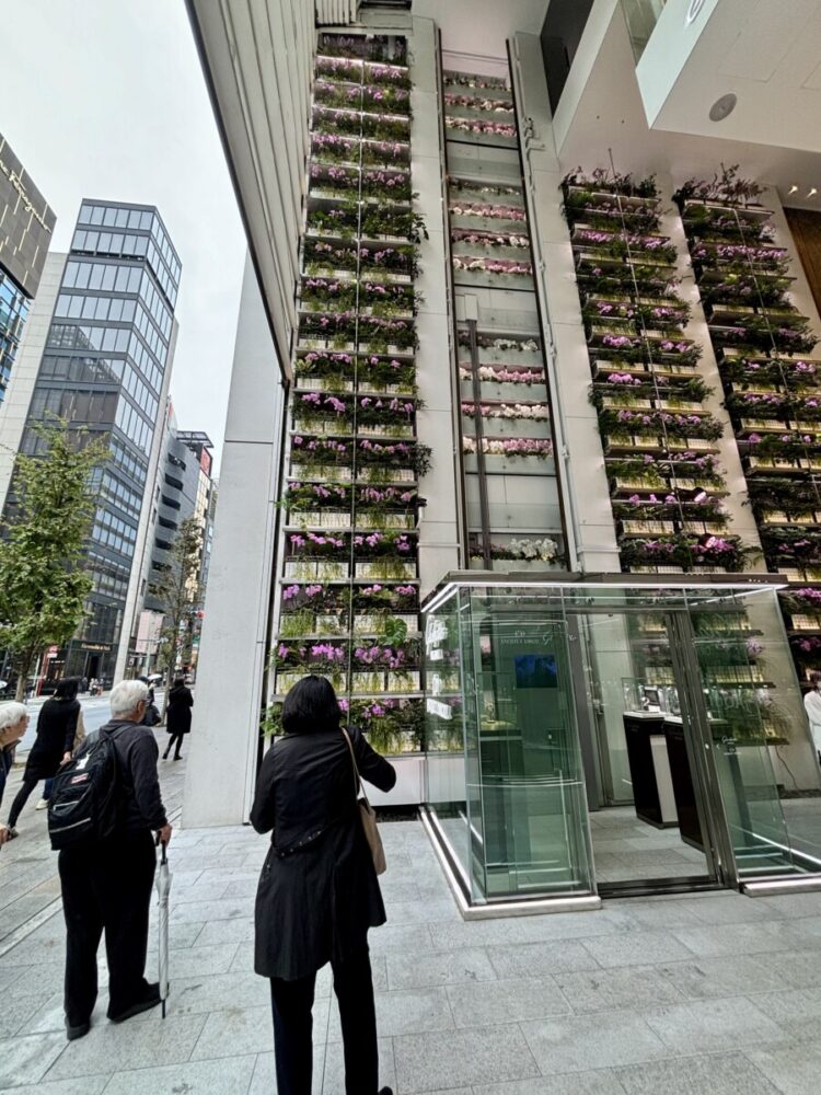 I can only imagine how much this live orchid display cost! Photo by Kurt Jacobson