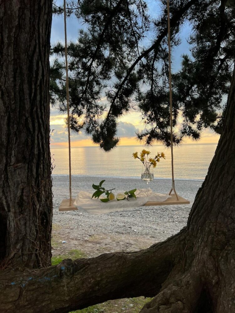 Turning Your Dream European Vacation Destination into Home: Moving to Andorra 1 Photo by Mariam Antadze: https://www.pexels.com/photo/flower-vase-and-lemons-on-the-swing-between-trees-14518602/