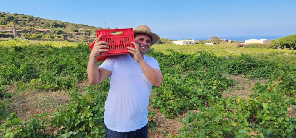 Tasting Donnafugata Wines: An Excursion Off the Coast of Sicily 10 In the vineyard at Donnafugata. Photo by Alison Levine