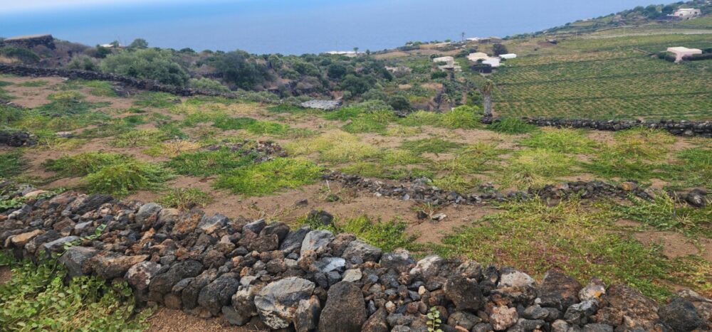 Tasting Donnafugata Wines: An Excursion Off the Coast of Sicily 5 Pantelleria dammusi. Photo by Alison Levine