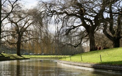 6 Best British Rivers for Wildlife Lovers
