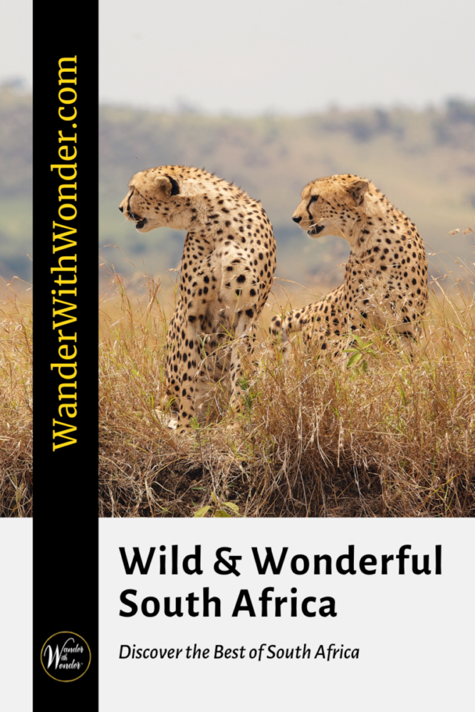 Travel to South Africa and Discover a Wild and Wonderful Destination 15 Travel to South Africa is about more than seeing wild game. Wild and wonderful South Africa offers some of the best wow moments in travel. If you want to see some of the best bucket list travel destinations, you will want to add South Africa to your list. Often among the top bucket list destinations, South Africa offers so much for visitors. Read our article to see why South Africa is one of the top 10 ultimate bucket list travel destinations.