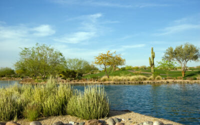 Golfing Through the Seasons: Year-Round Golfing in the US