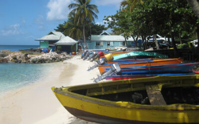 Some of the Top Benefits of Making a Permanent Move to Grenada