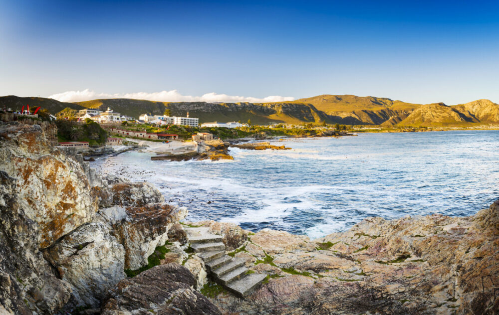 Travel to South Africa and Discover a Wild and Wonderful Destination 2 The whale watching town of Hermanus, South Africa