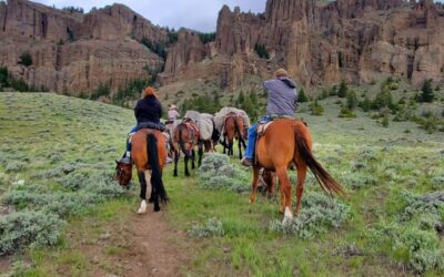 Discover the Best Things to Do in Cody, Wyoming