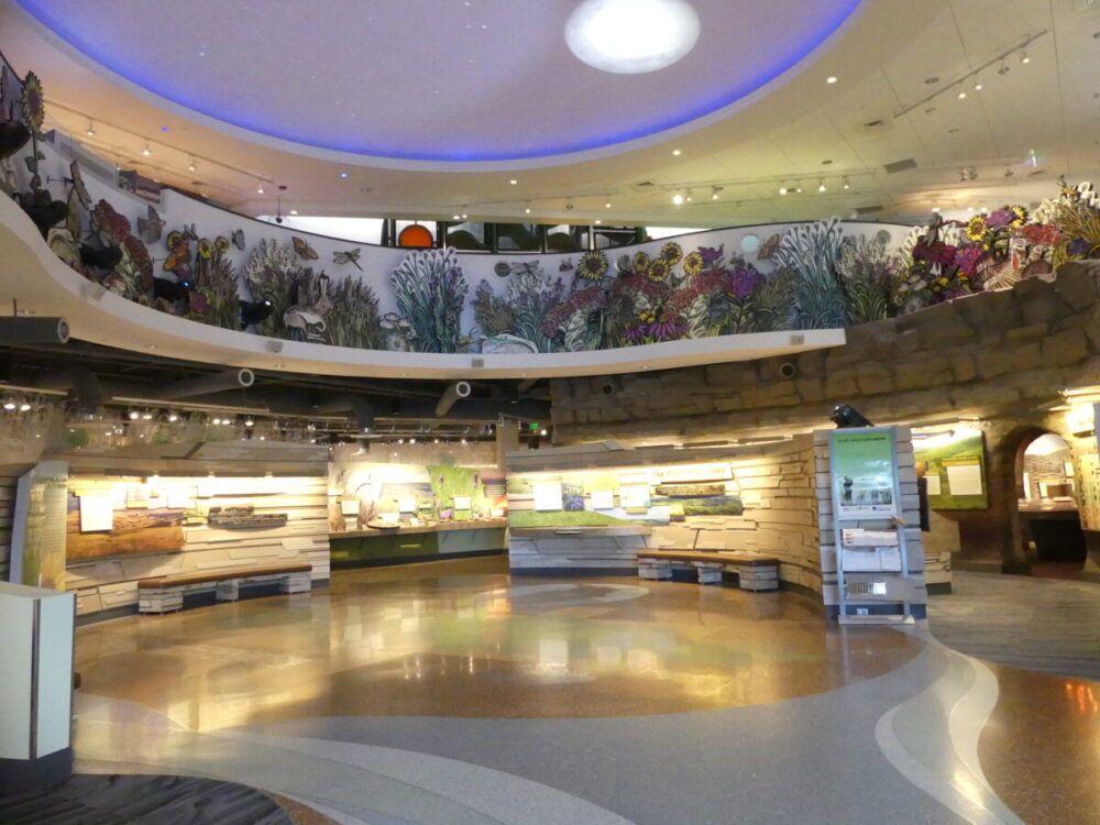 Discover the Magic of a Fun and Quirky Kansas Road Trip 6 Lobby at Flint Hills Discovery Center showing grasses and wildlife on balcony