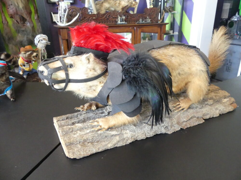 Discover the Magic of a Fun and Quirky Kansas Road Trip 16 Eyegore Curiosity and Museum weird animal exhibit