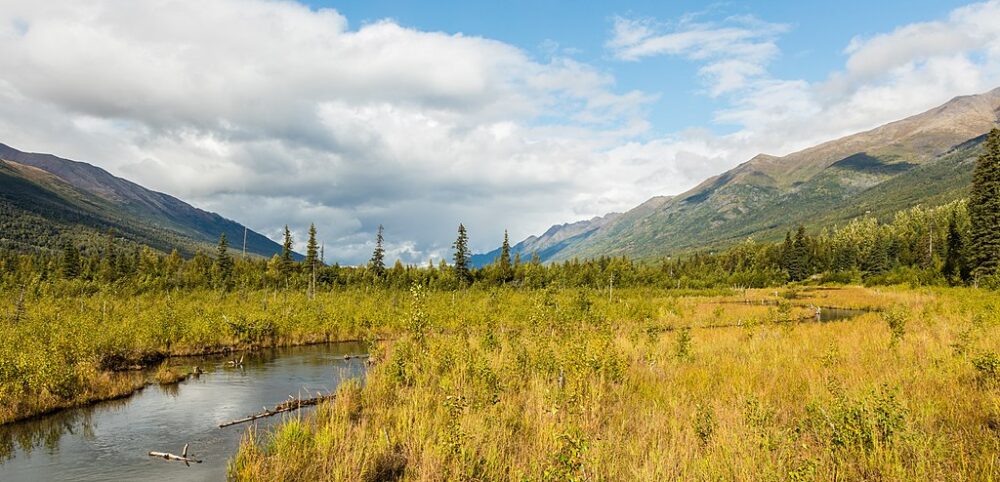 Explore Exciting Summer Activities Near Anchorage, Alaska 2 Eagle River Nature Trail