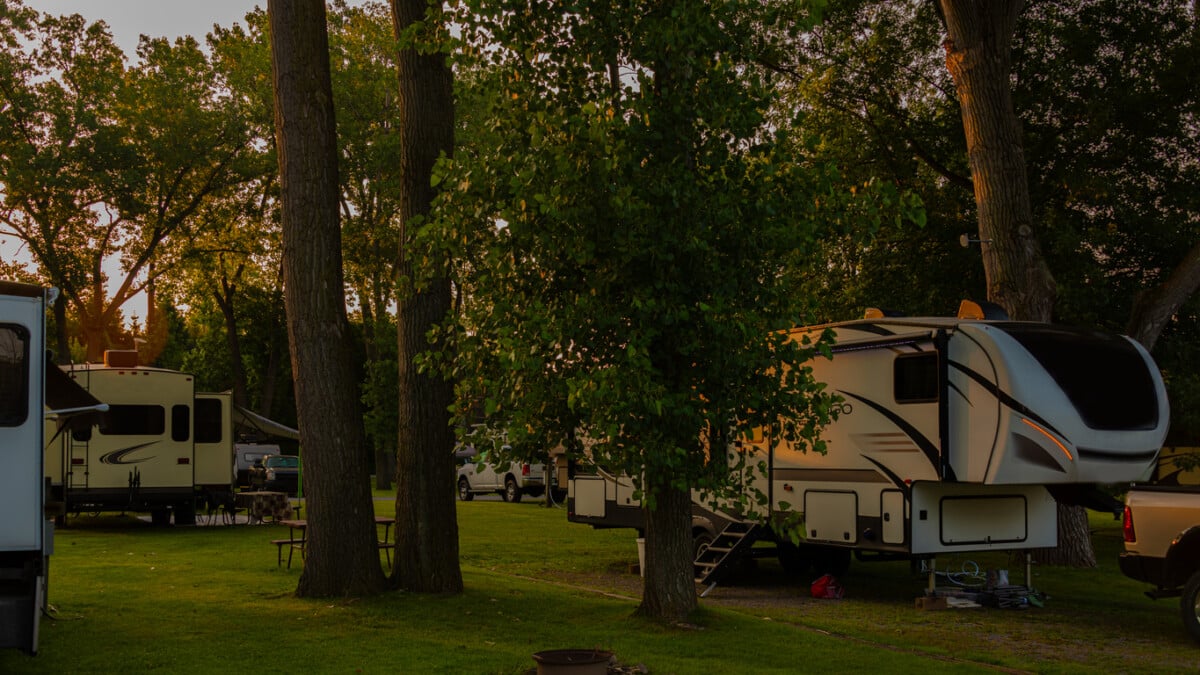 Rv and trailers parked at campsites amongest tall trees in early morning with grass and sunrise light shadows