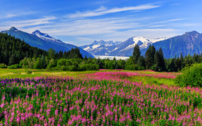 Explore Exciting Summer Activities Near Anchorage, Alaska