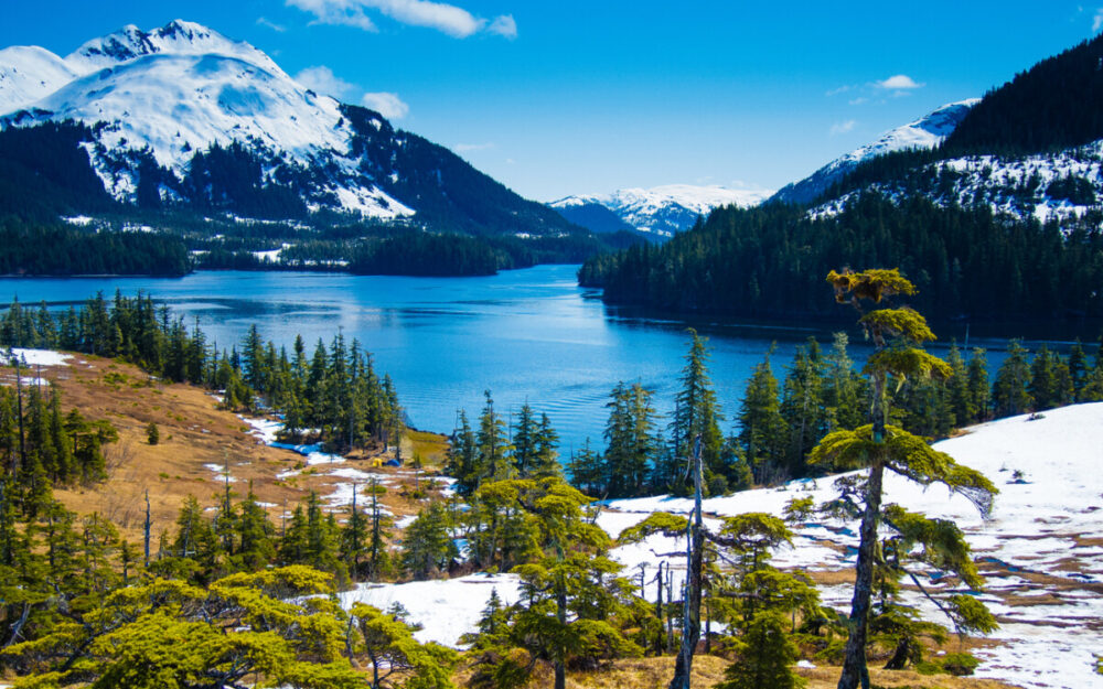 Explore Exciting Summer Activities Near Anchorage, Alaska 5 Overlooking Prince William Sound