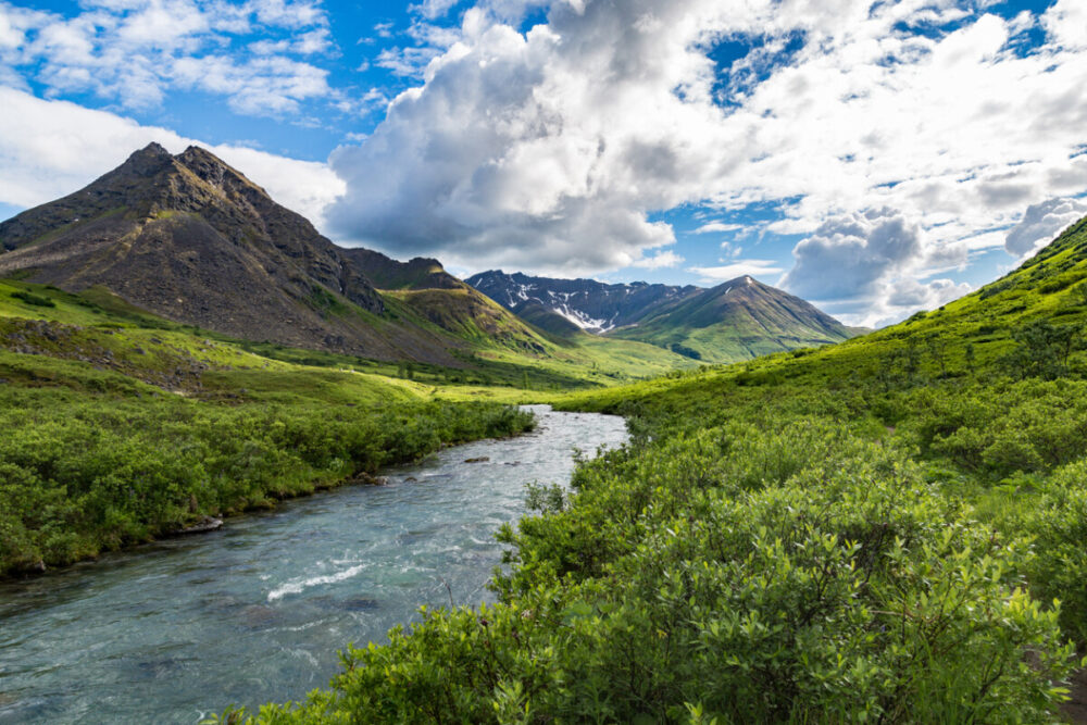 Explore Exciting Summer Activities Near Anchorage, Alaska 9 Little Susitna River in Hatcher Pass, Alaska