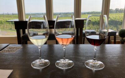 An Insider’s Guide to Niagara Wines
