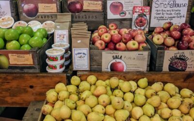 Discover the Best Apples in PA at Barnard’s Orchard