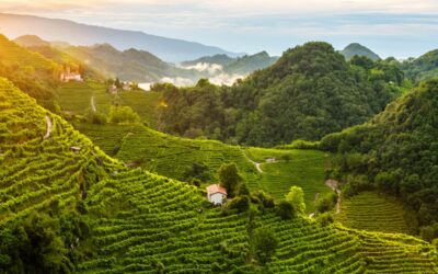 Discover the Conegliano-Valdobbiadene Prosecco Region