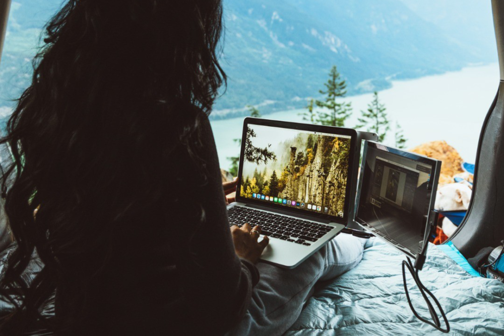 DUEX Lite portable monitor