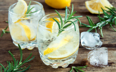 Discover the Top Places to Sip Gin in Edinburgh