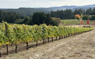 Discover Oregon’s Tualatin Valley: Wine, Dine, Hike Near Portland