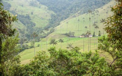 The Arepa Trail: Discover Colombia’s Most Beloved Street Food